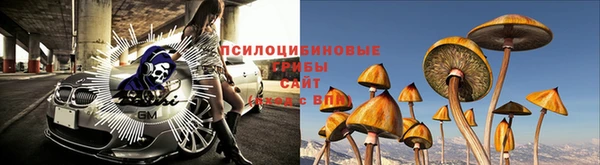эйфоретик Нефтекумск