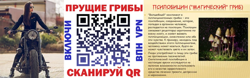 Галлюциногенные грибы мицелий  Купить  Уфа 