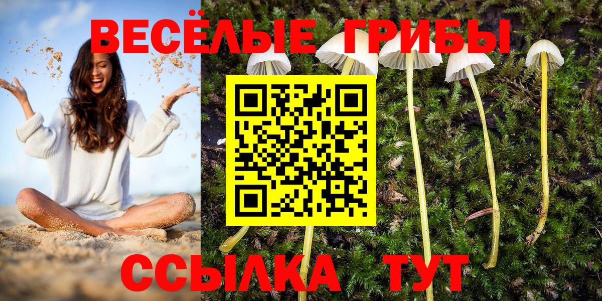 Галлюциногенные грибы Psilocybe  Галлюциногенные грибы прущие грибы  Уфа  Вход с VPN 