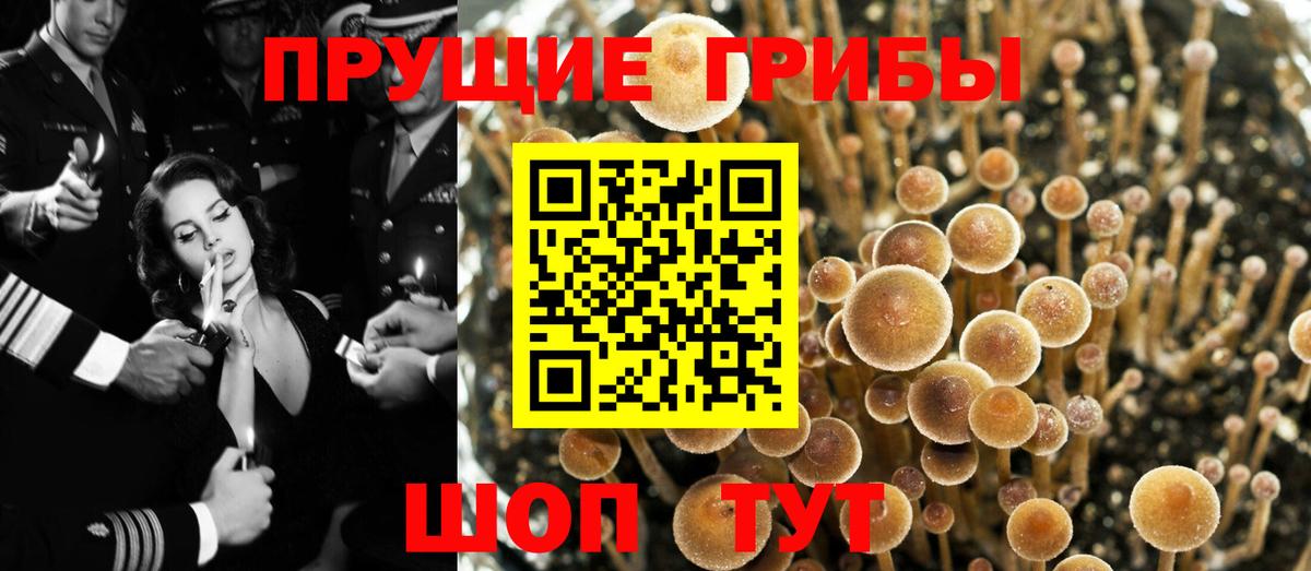 Галлюциногенные грибы мухоморы Уфа